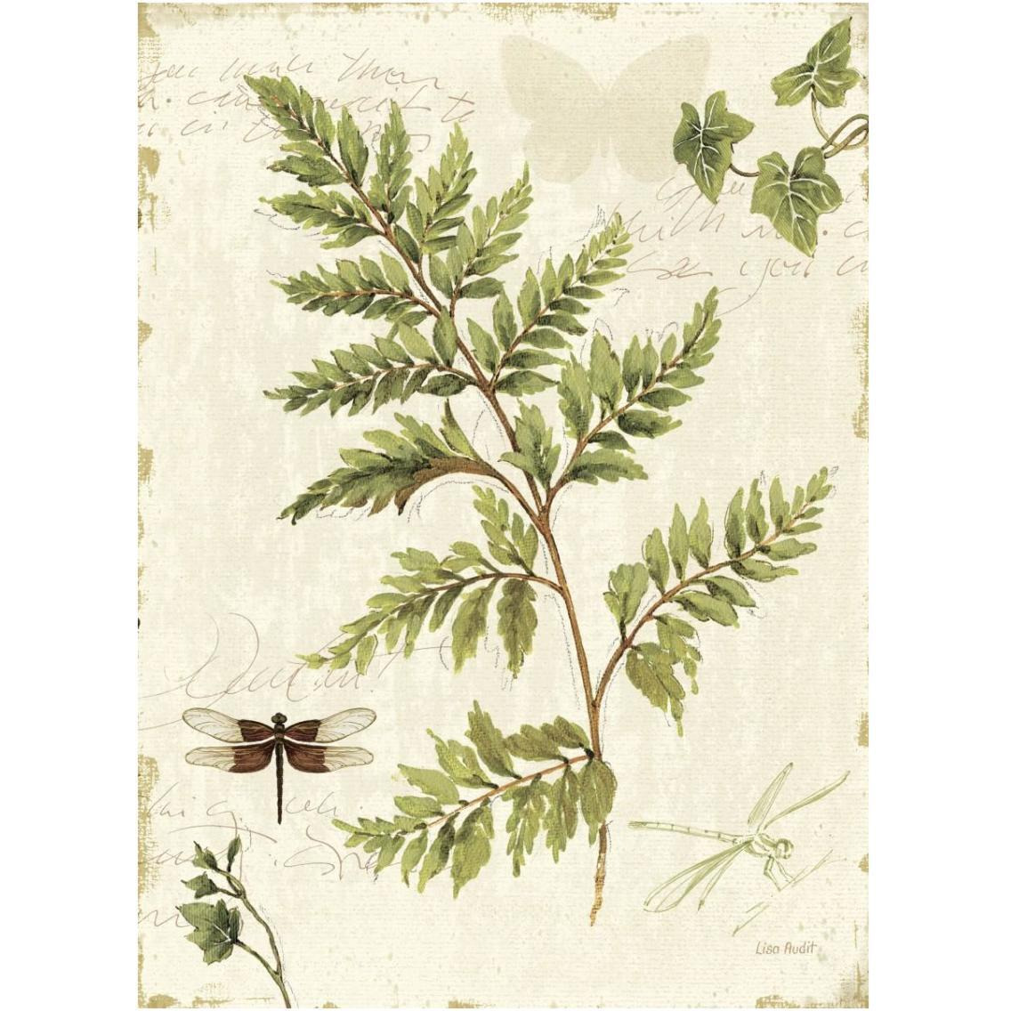 Ivies and Ferns I -Paper Art-14&quotx18"