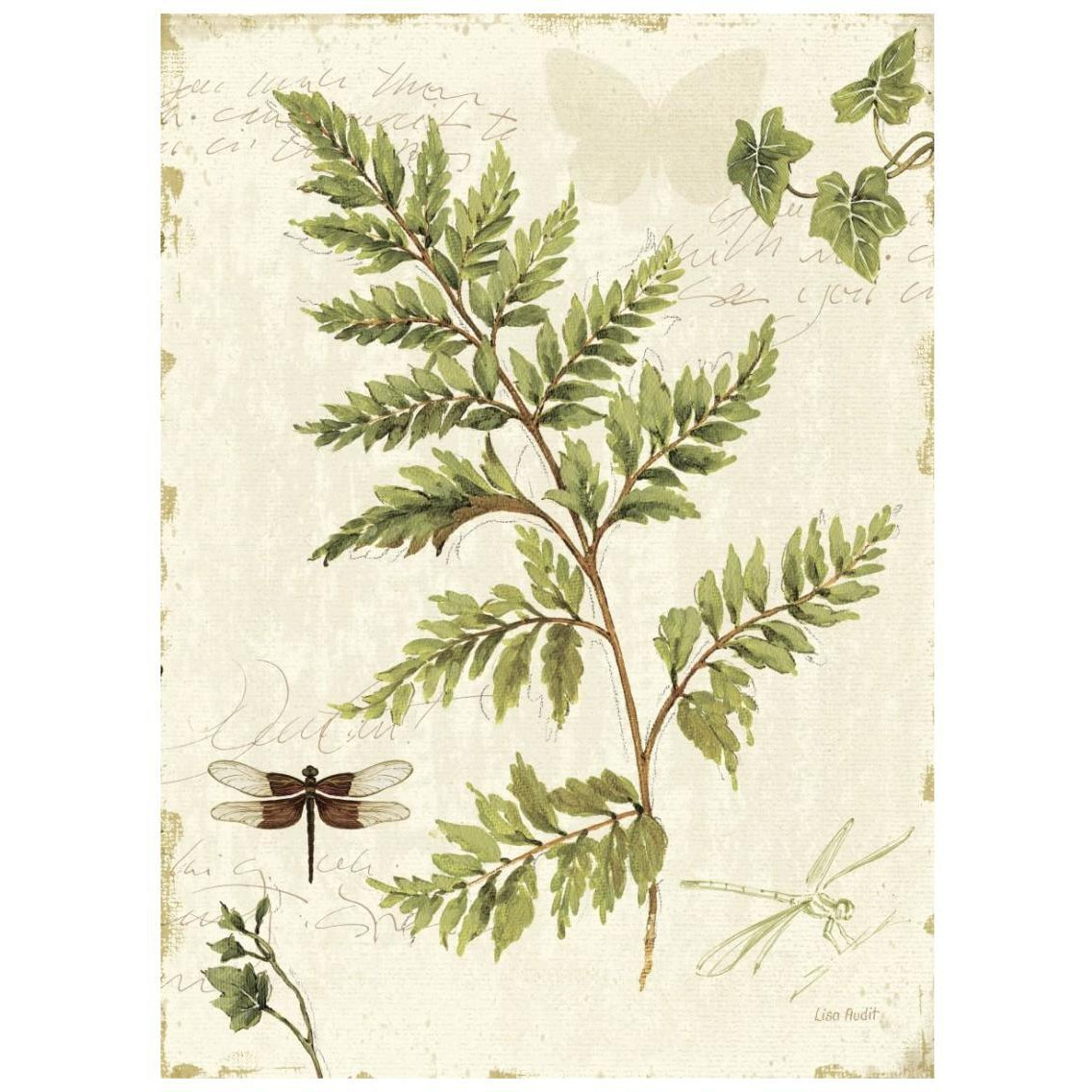Ivies and Ferns I -Paper Art-20&quotx26"