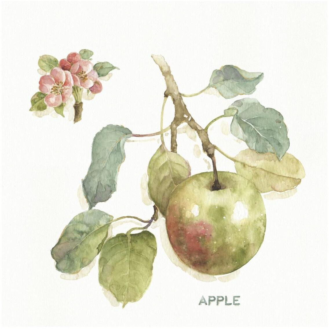 Orchard Bloom I -Paper Art-32&quotx32"