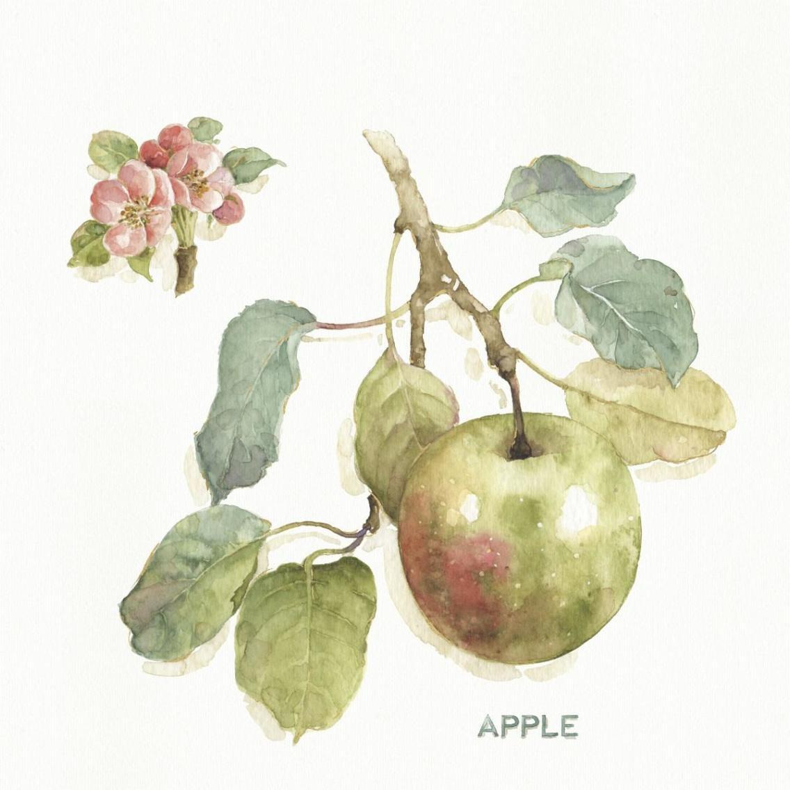 Orchard Bloom I -Paper Art-38&quotx38"