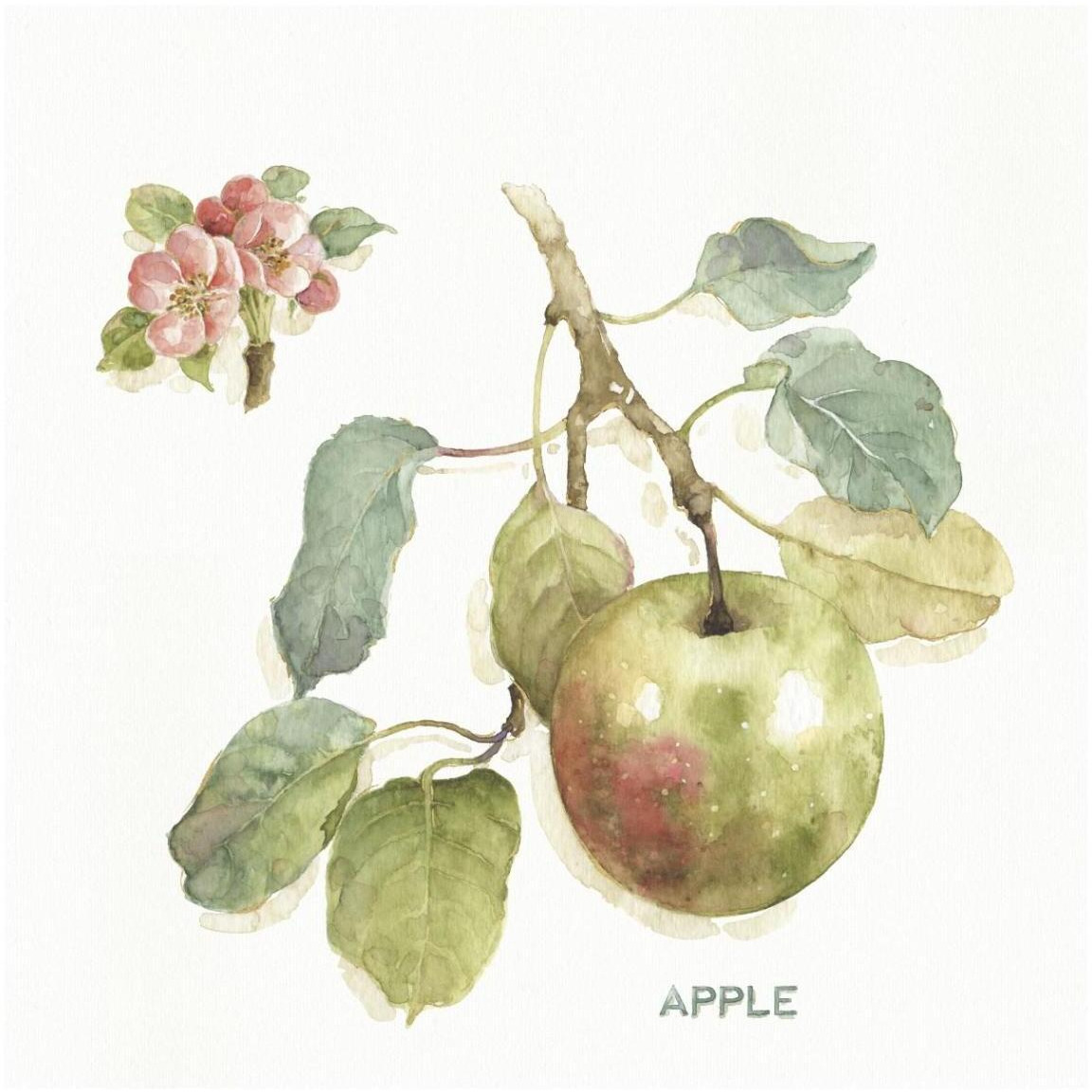 Orchard Bloom I -Paper Art-42&quotx42"