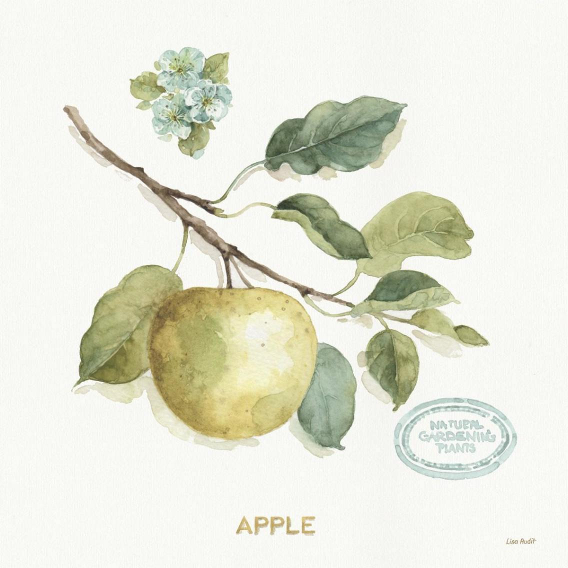 My Greenhouse Fruit IV -Paper Art-38&quotx38"