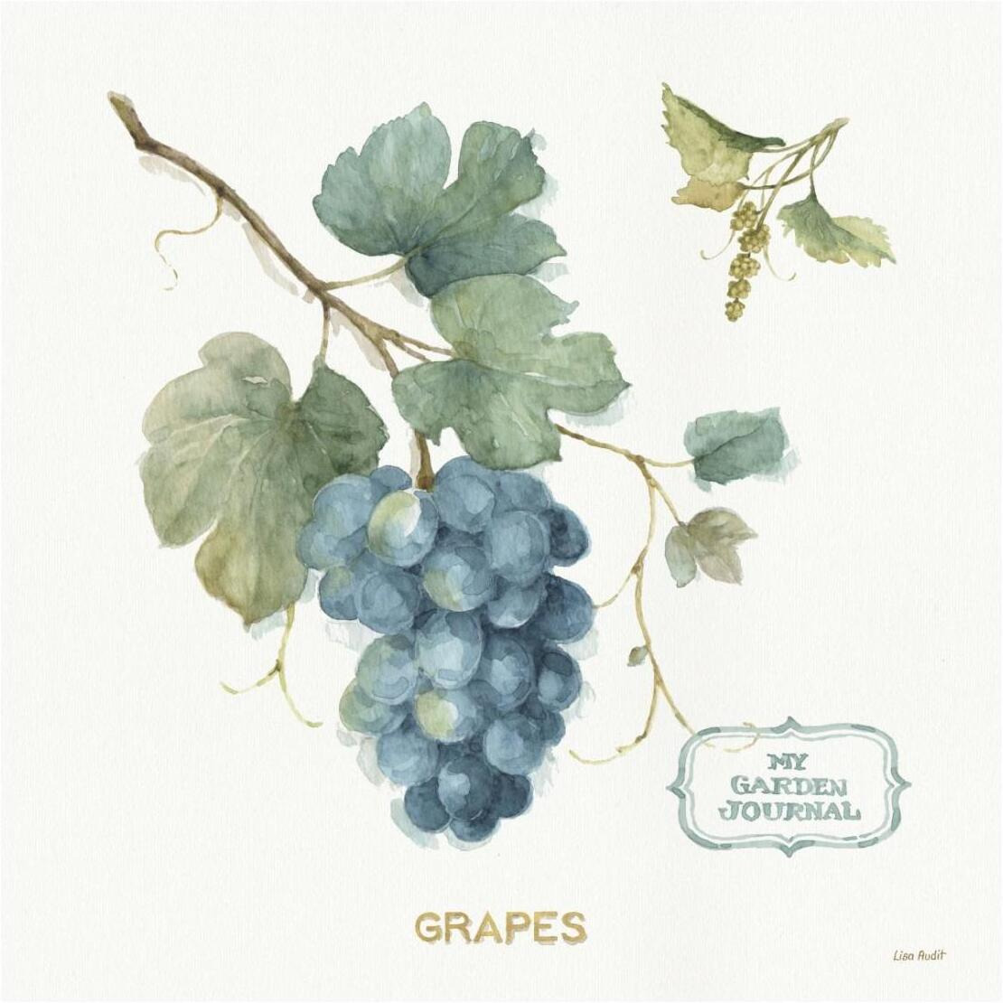 My Greenhouse Fruit III -Paper Art-26&quotx26"