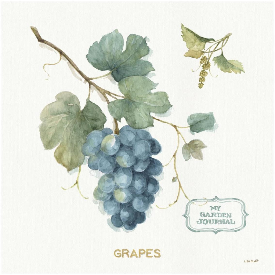 My Greenhouse Fruit III -Paper Art-32&quotx32"