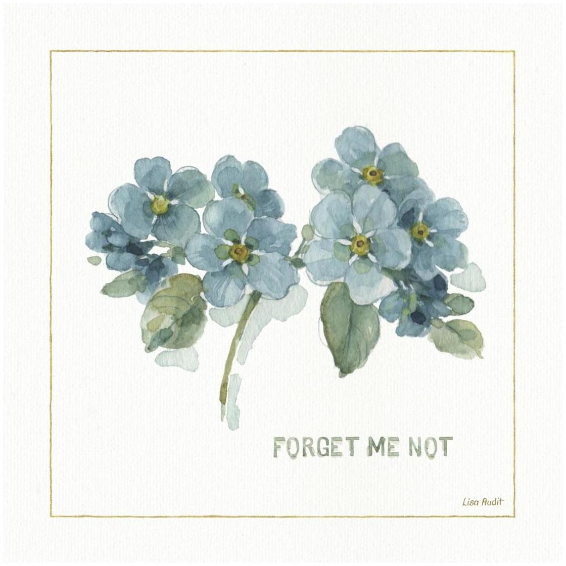 My Greenhouse Forget Me Not -Paper Art-26&quotx26"