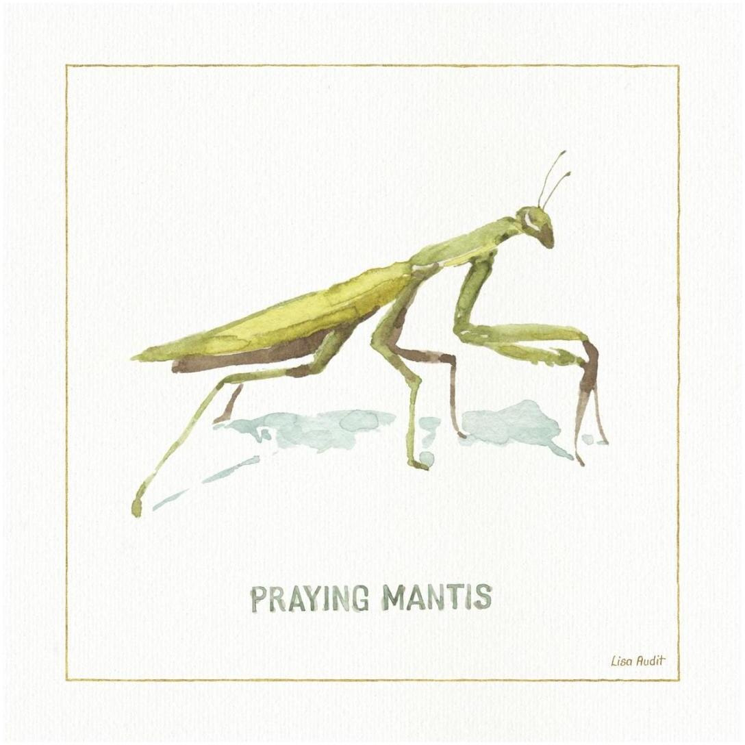 My Greenhouse Praying Mantis -Paper Art-20&quotx20"