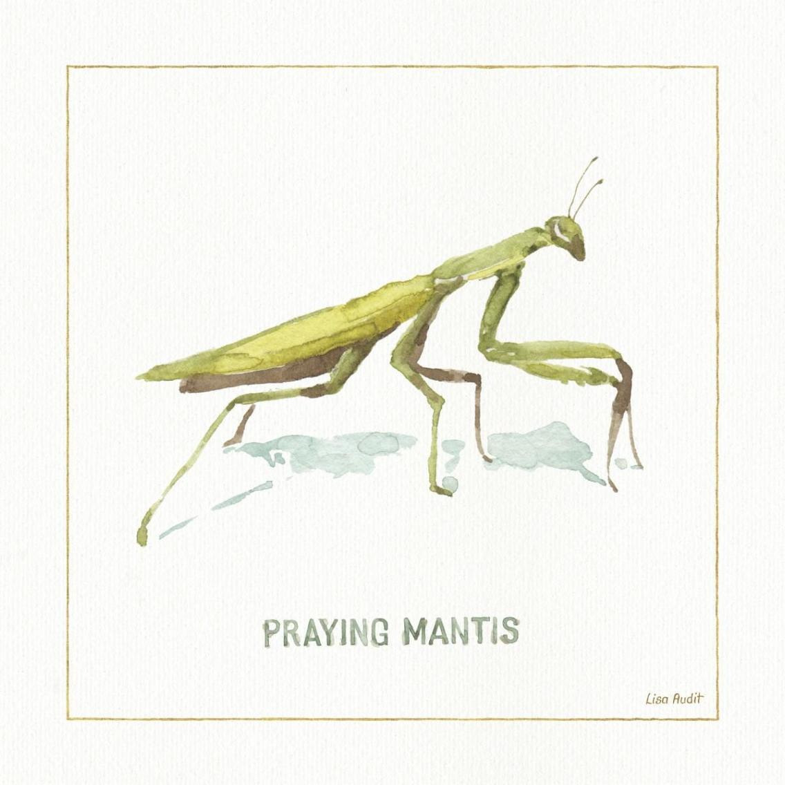 My Greenhouse Praying Mantis -Paper Art-38&quotx38"