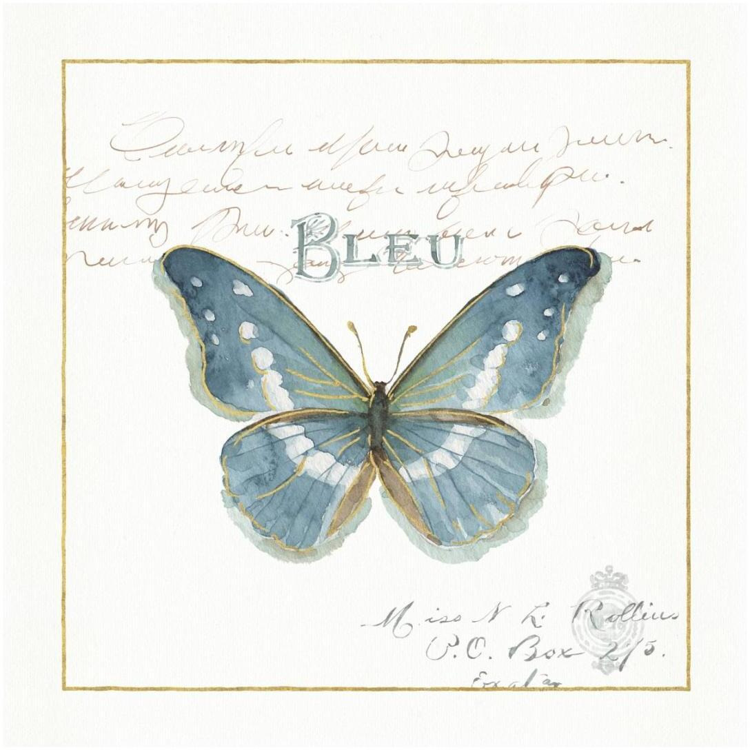Rainbow Seeds Butterflies V -Paper Art-20&quotx20"