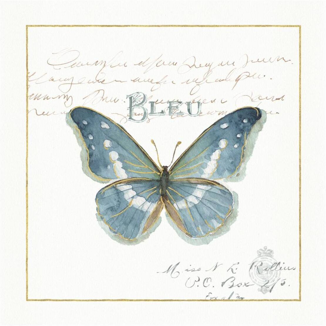 Rainbow Seeds Butterflies V -Paper Art-26&quotx26"