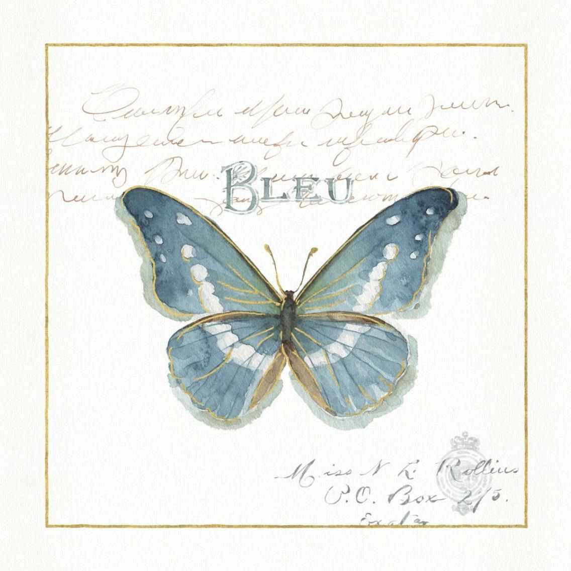Rainbow Seeds Butterflies V -Paper Art-38&quotx38"