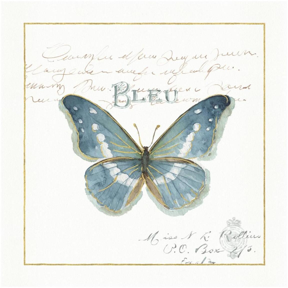 Rainbow Seeds Butterflies V -Paper Art-42&quotx42"