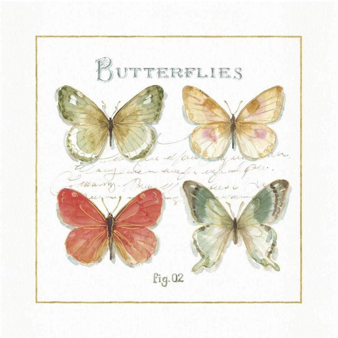 Rainbow Seeds Butterflies III -Paper Art-20&quotx20"