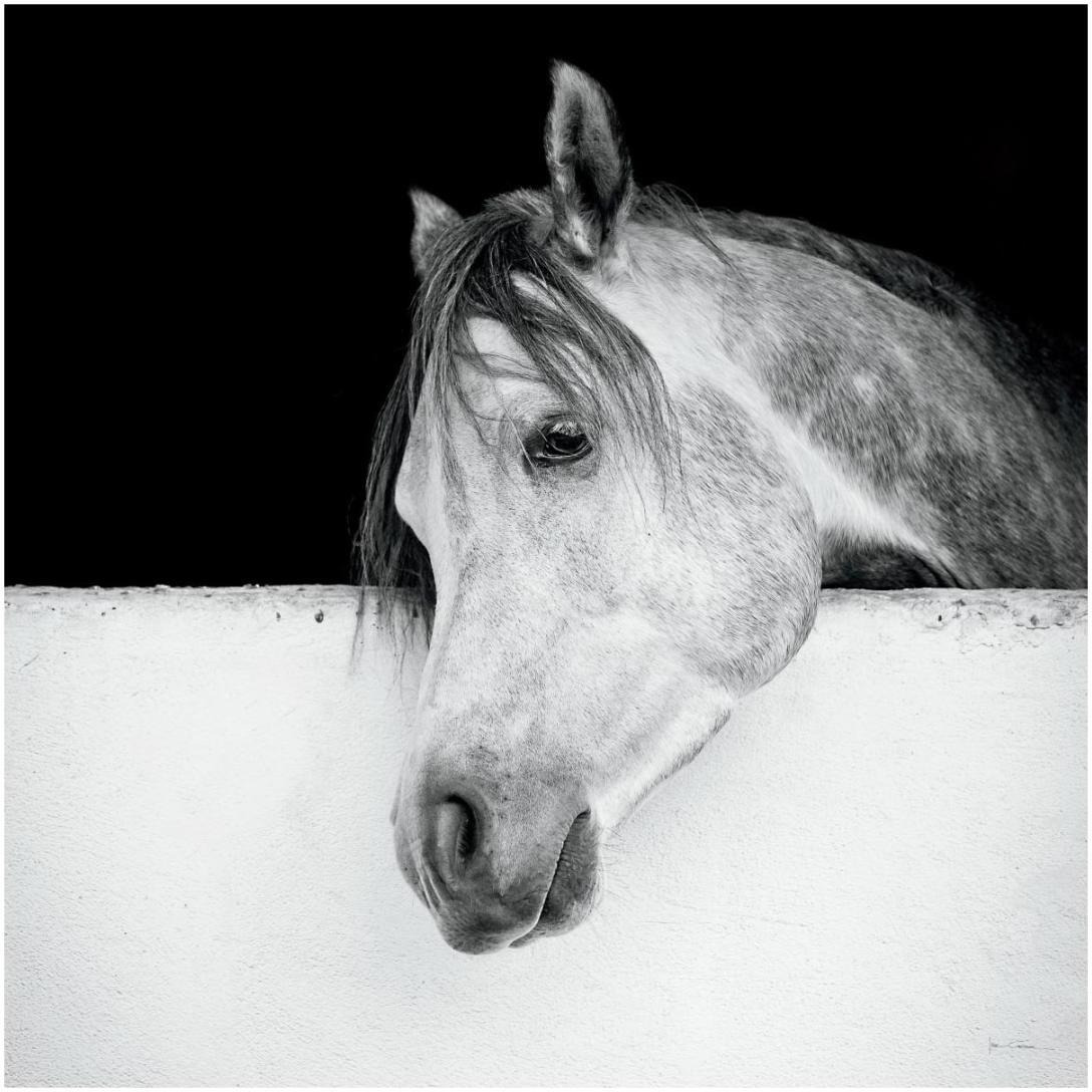 Lonesome Gray -Paper Art-20&quotx20"