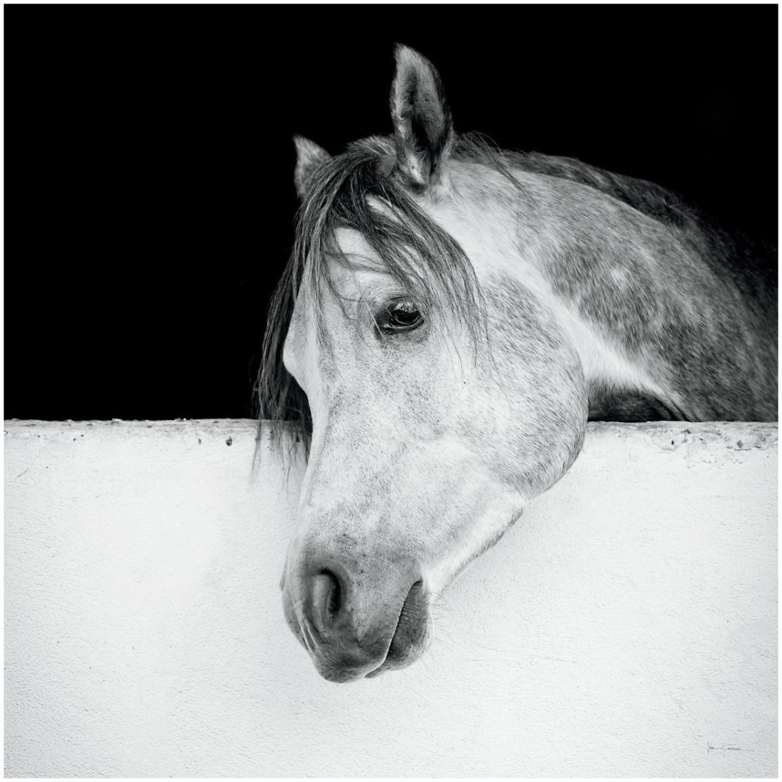 Lonesome Gray -Paper Art-32&quotx32"