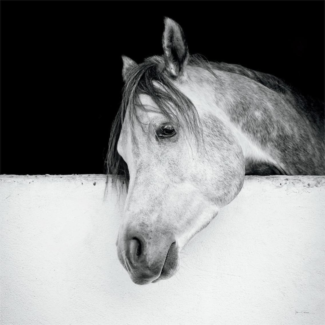 Lonesome Gray -Paper Art-38&quotx38"