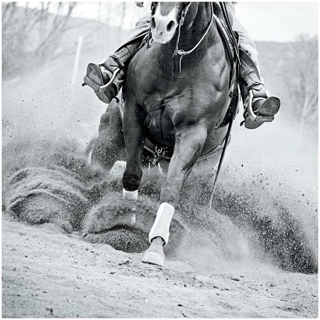 Reining In -Paper Art-26&quotx26"