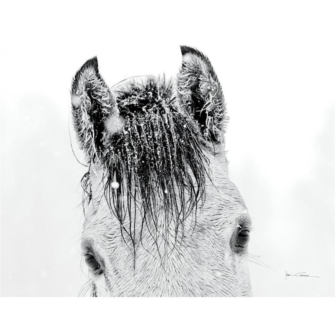 Snow Daze II Crop -Paper Art-26&quotx22"