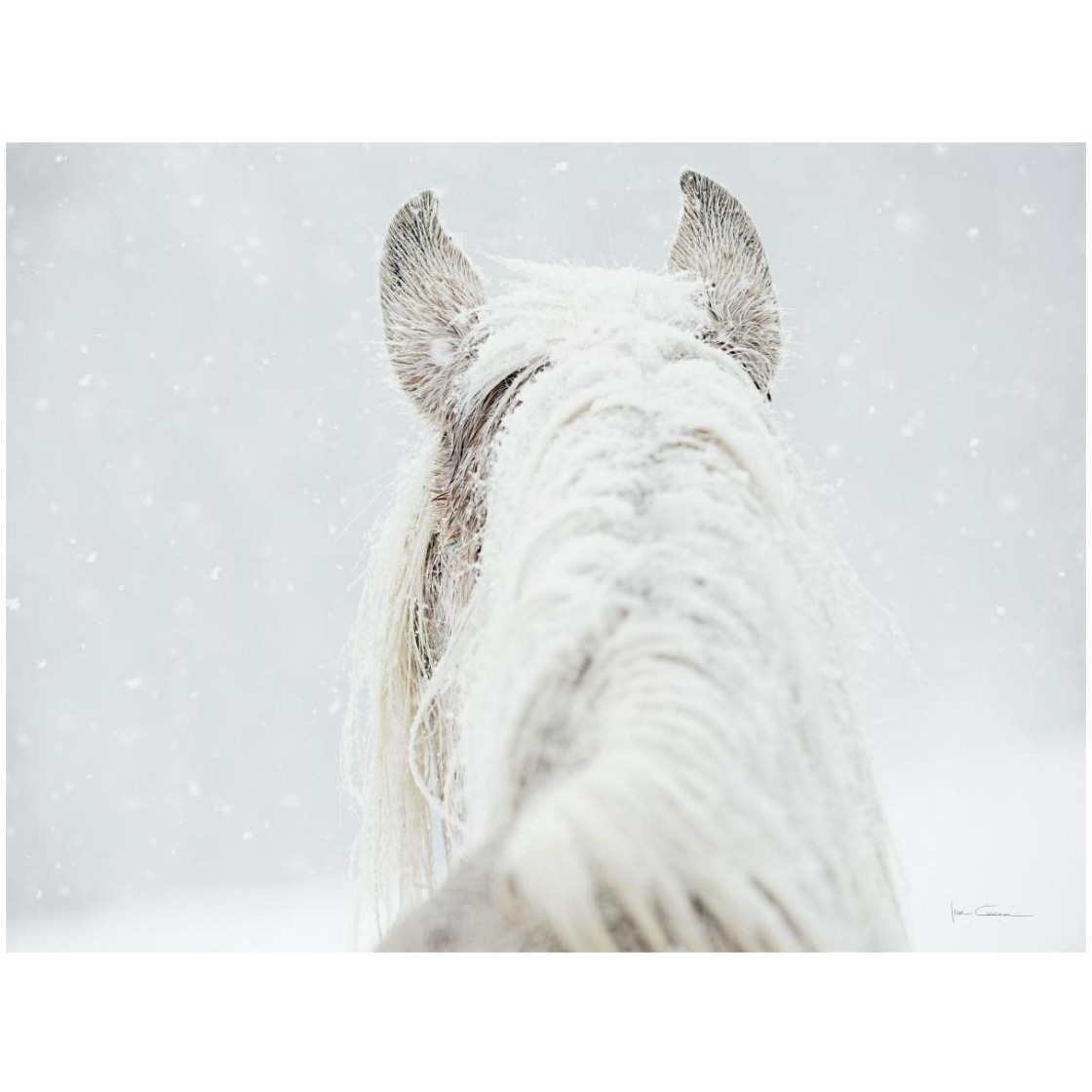 Winter Dreaming -Paper Art-26&quotx20"