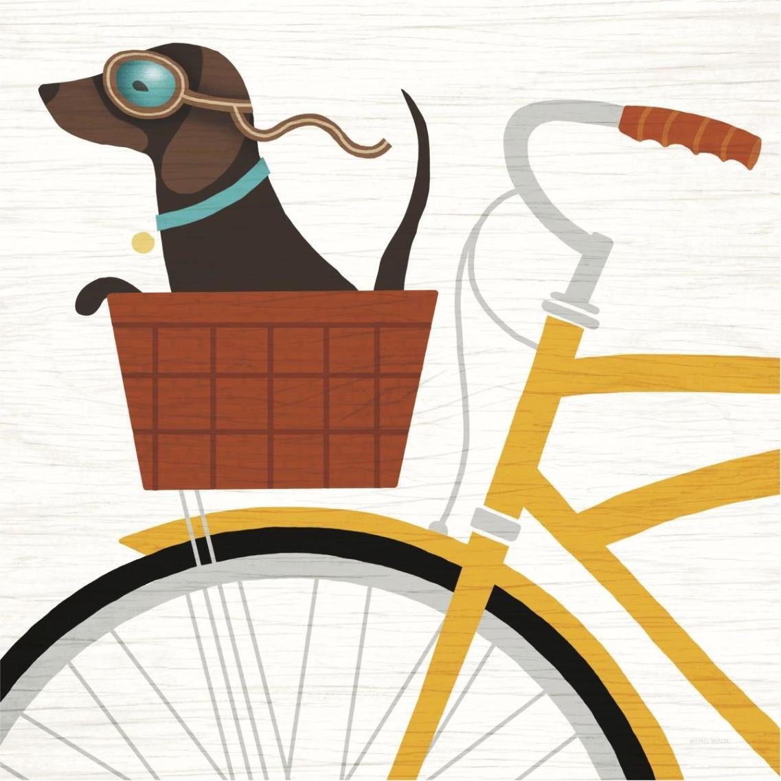 Beach Bums Dachshund Bicycle I -Paper Art-38&quotx38"