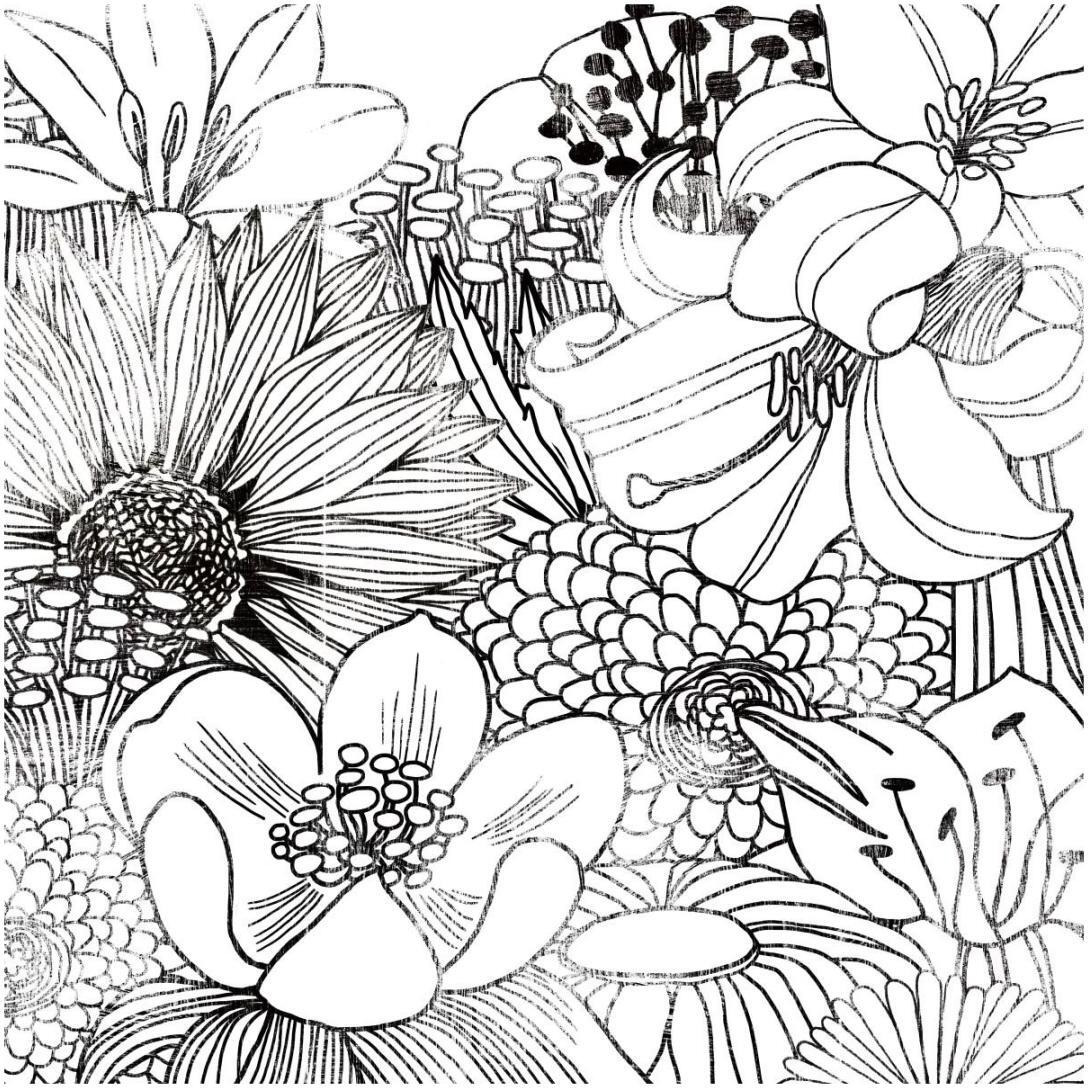 Contemporary Garden II Black and White -Paper Art-20&quotx20"