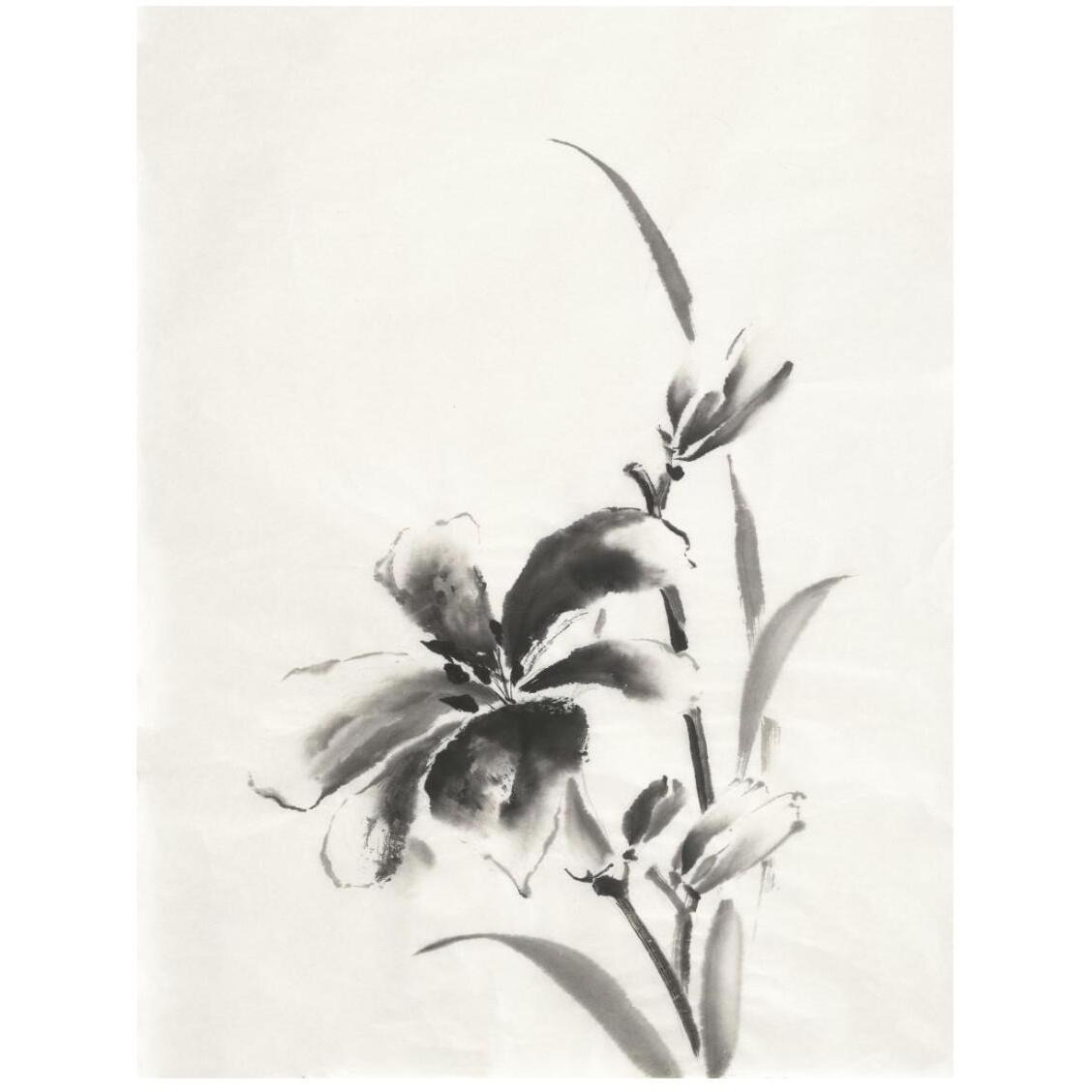 Sumi Daylily IV -Paper Art-20&quotx26"