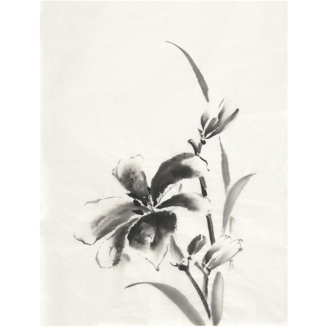 Sumi Daylily IV -Paper Art-26&quotx34"