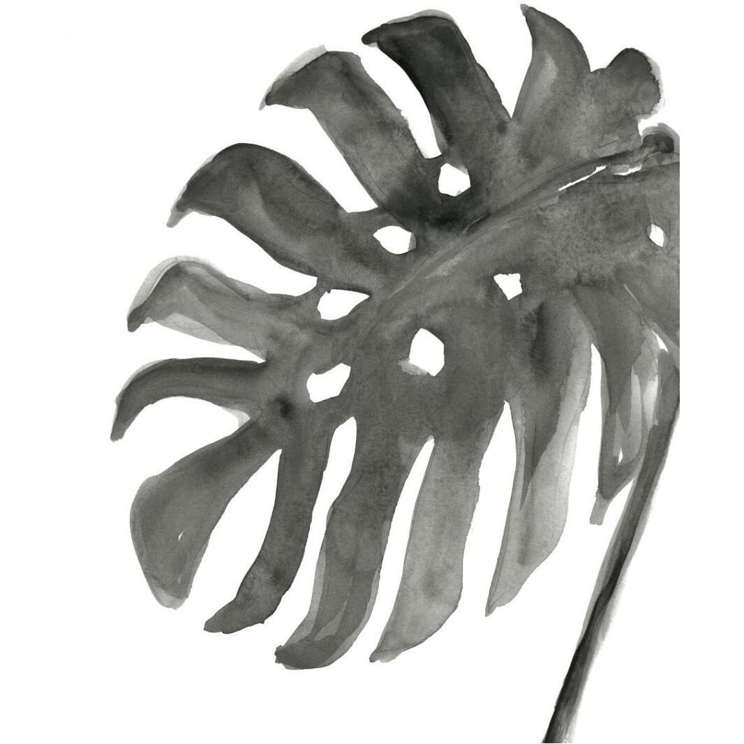Tropical Palm IV Crop BW -Paper Art-30&quotx37"