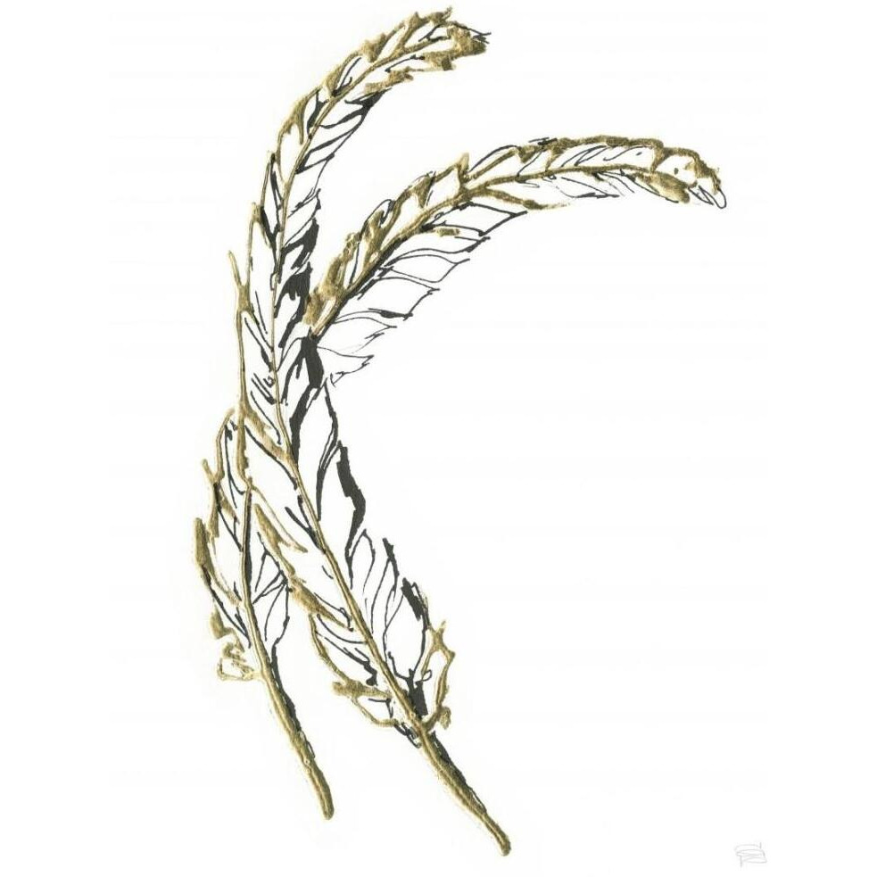 Gilded Hackles Feather -Paper Art-20&quotx26"