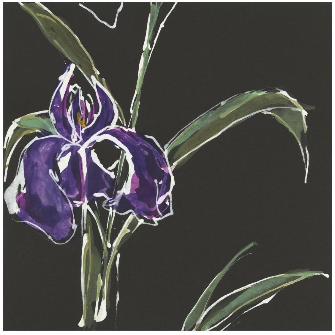 Iris on Black II -Paper Art-26&quotx26"