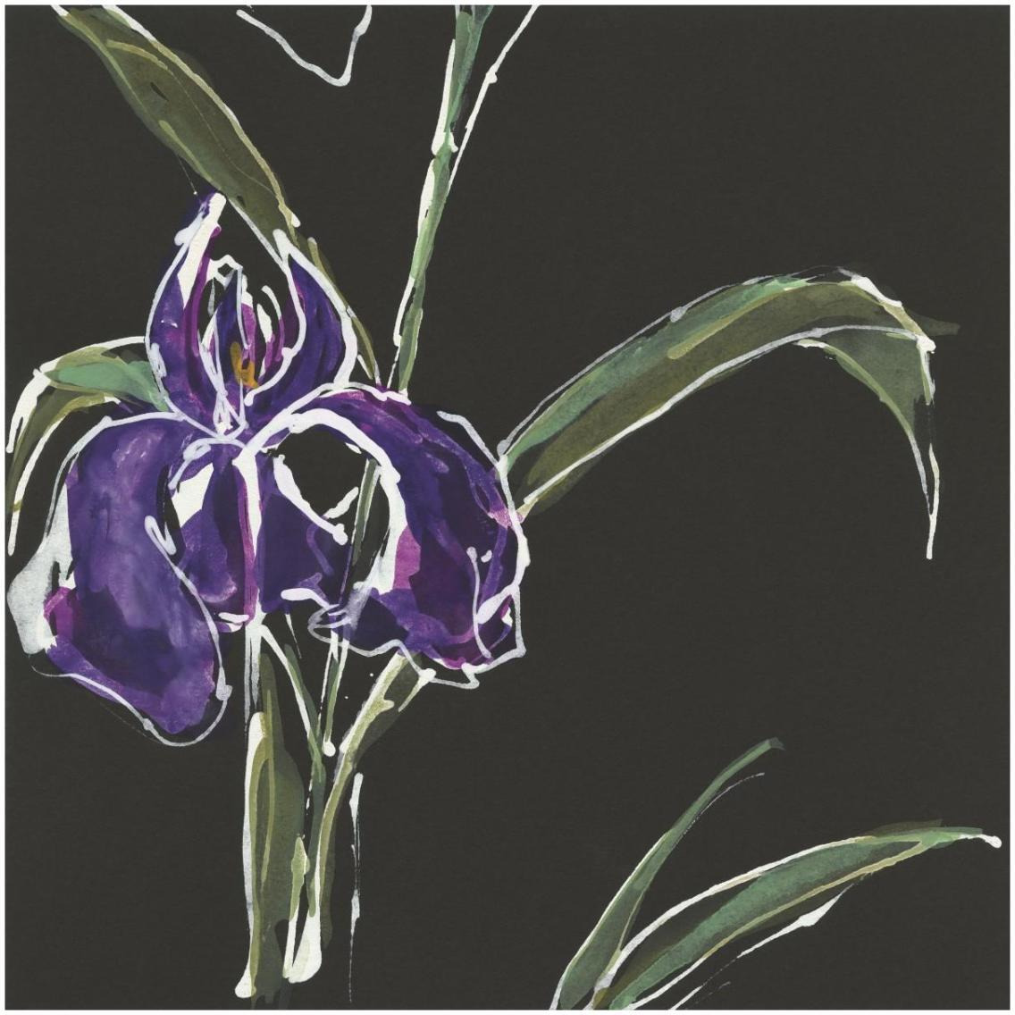 Iris on Black II -Paper Art-32&quotx32"