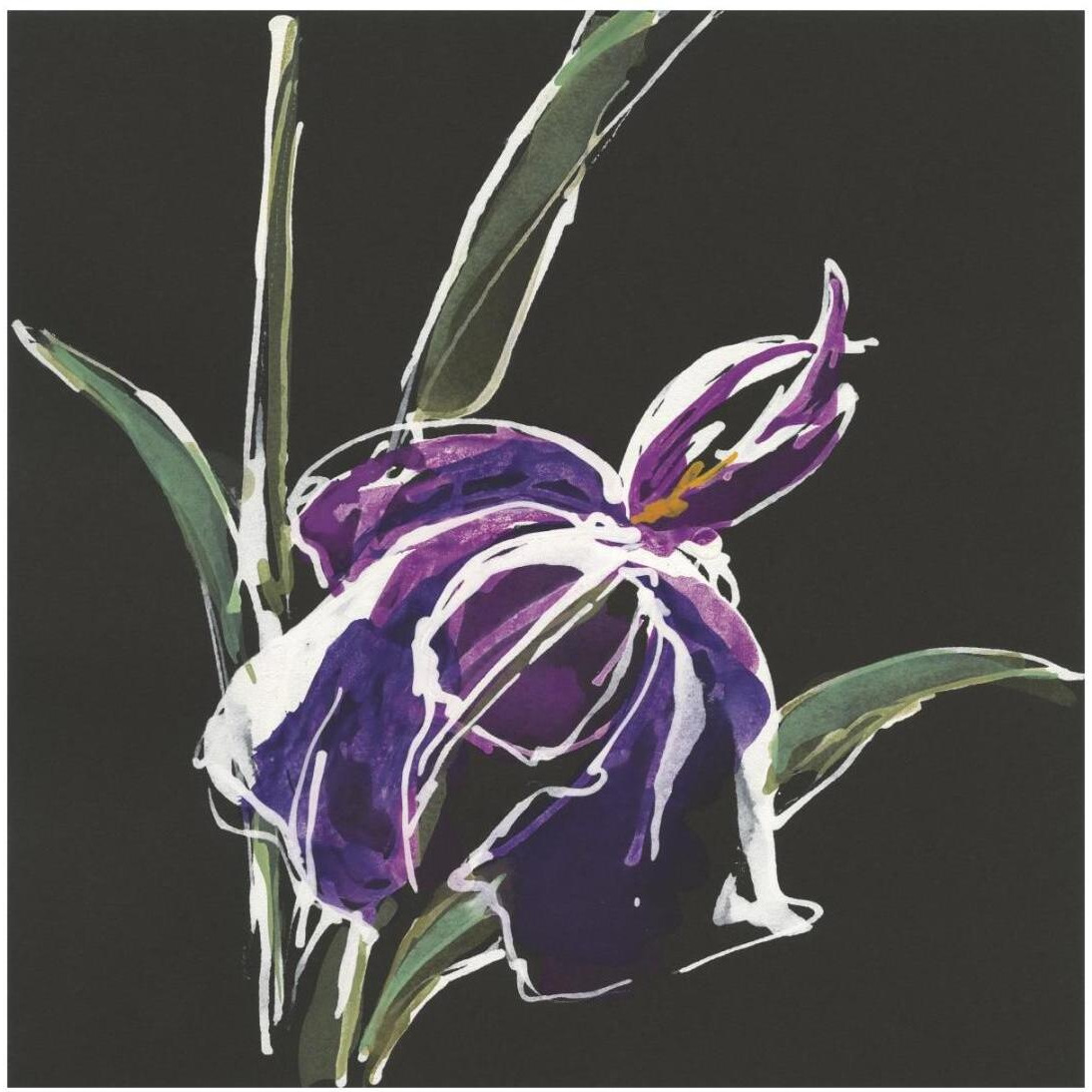 Iris on Black III -Paper Art-20&quotx20"
