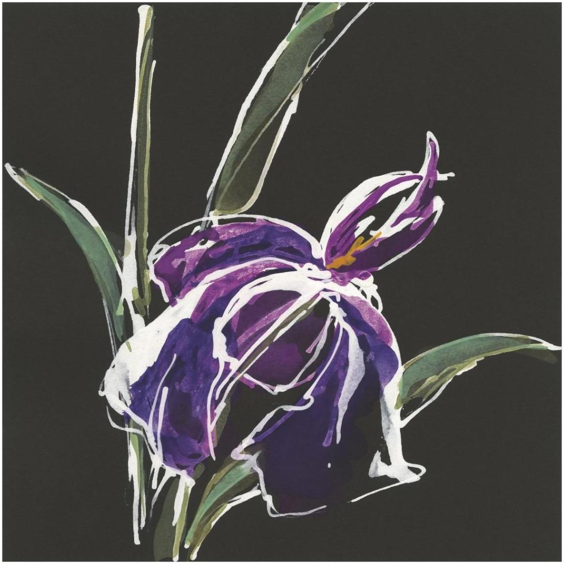 Iris on Black III -Paper Art-42&quotx42"