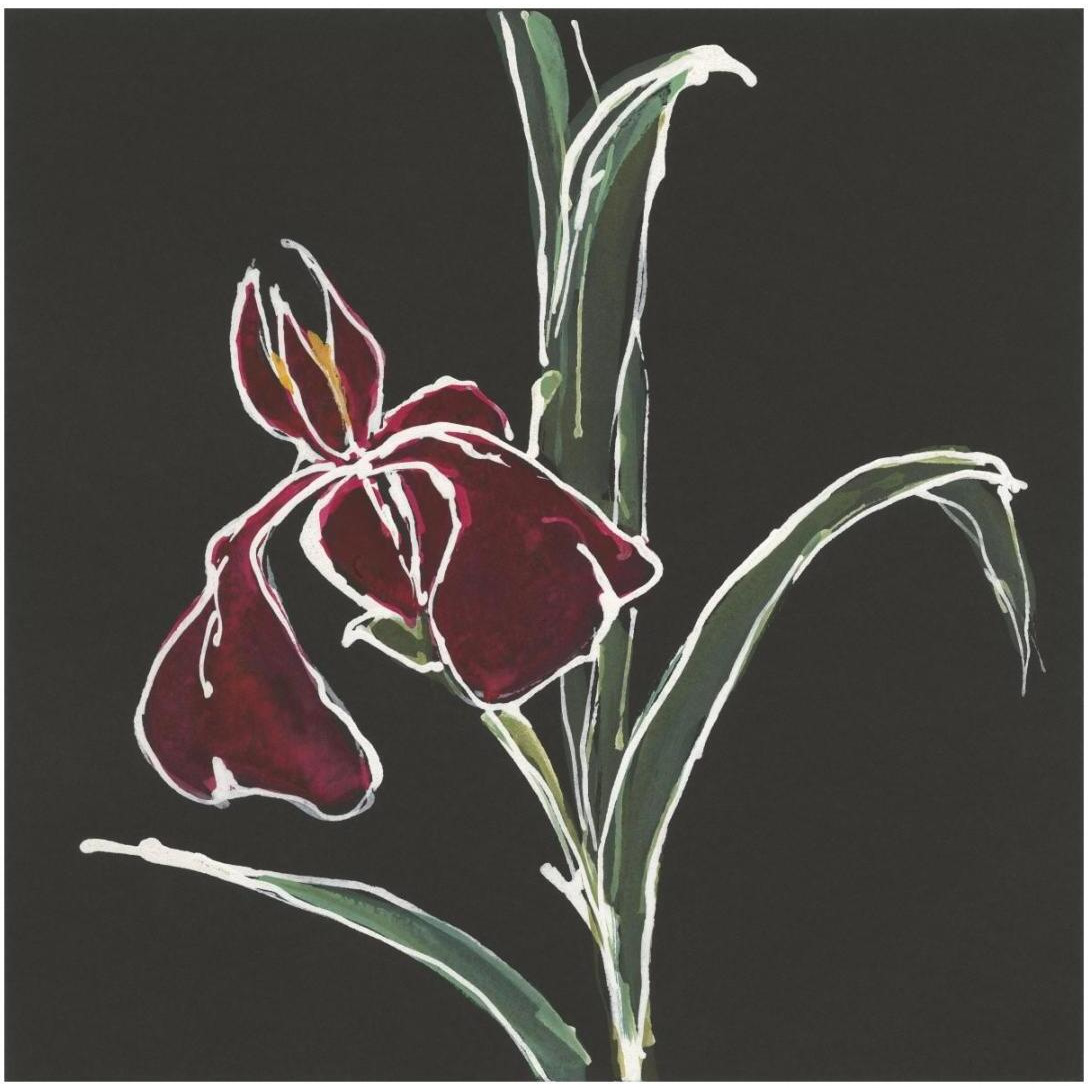 Iris on Black V -Paper Art-20&quotx20"