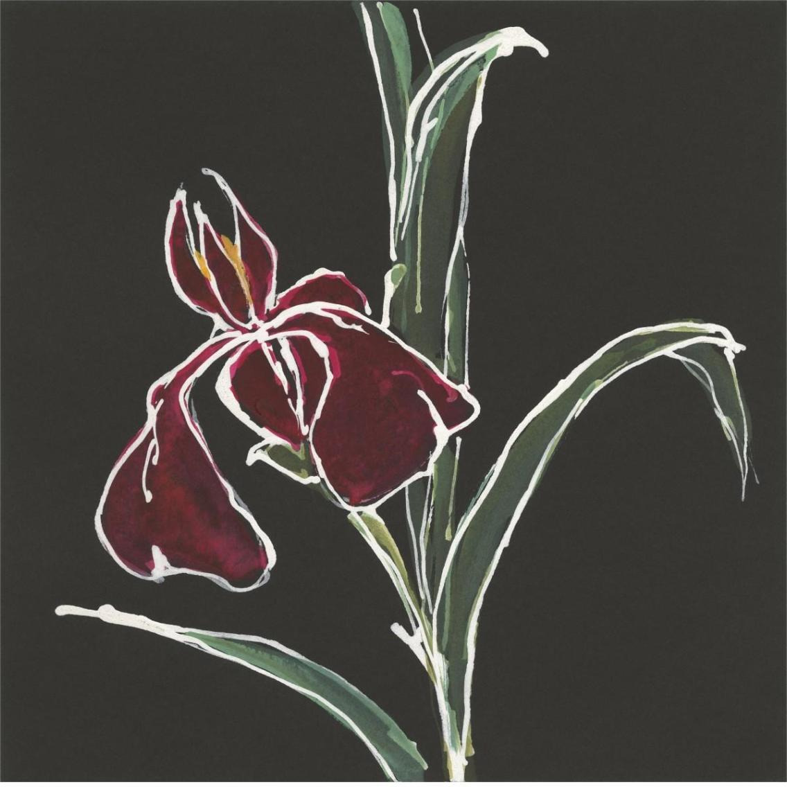 Iris on Black V -Paper Art-38&quotx38"