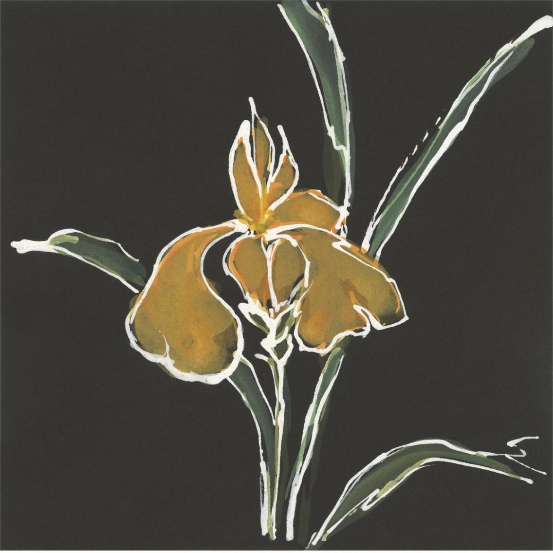 Iris on Black VI -Paper Art-38&quotx38"