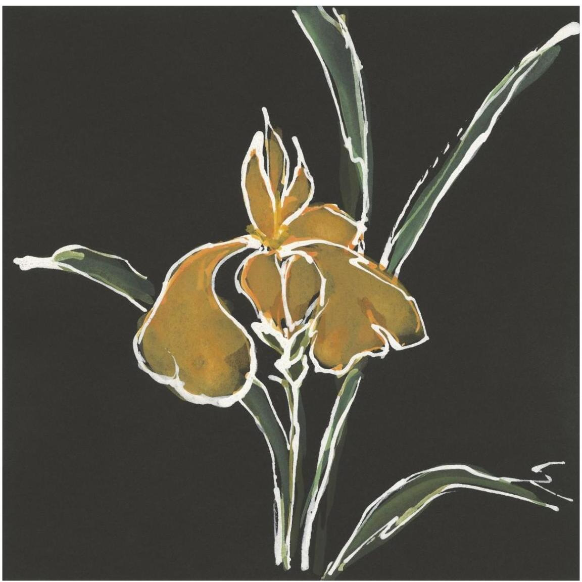 Iris on Black VI -Paper Art-42&quotx42"