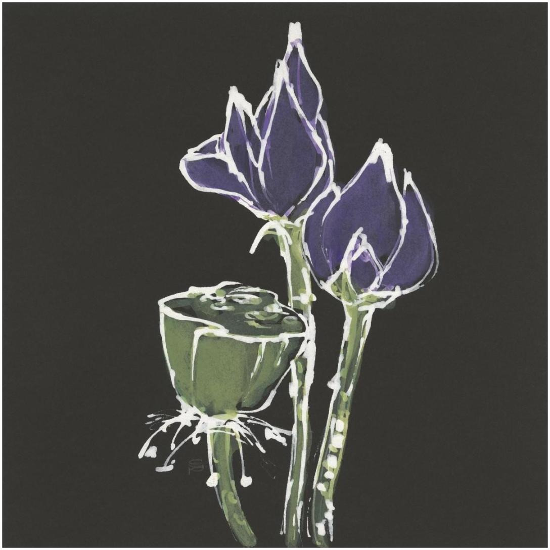 Lotus on Black II -Paper Art-20&quotx20"