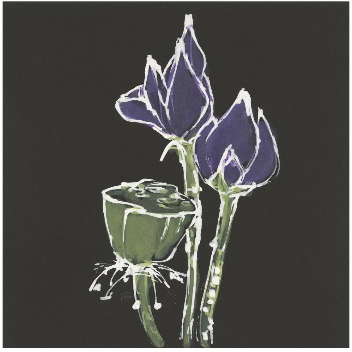 Lotus on Black II -Paper Art-42&quotx42"
