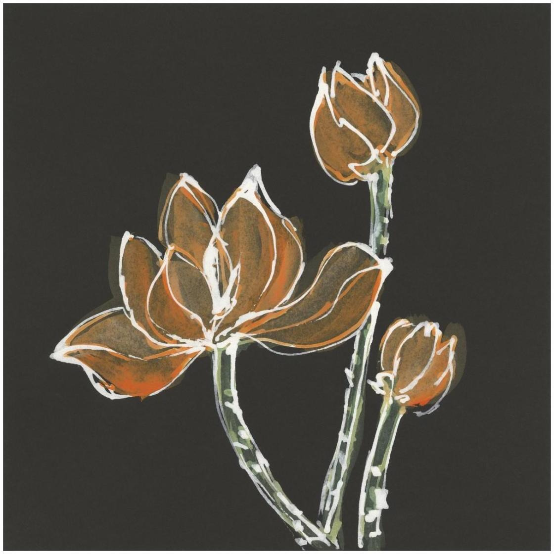 Lotus on Black IV -Paper Art-26&quotx26"