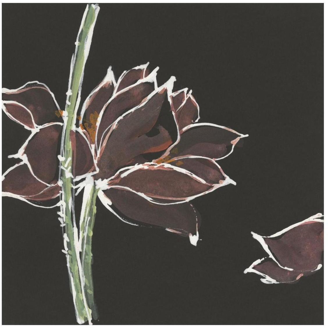 Lotus on Black V -Paper Art-26&quotx26"