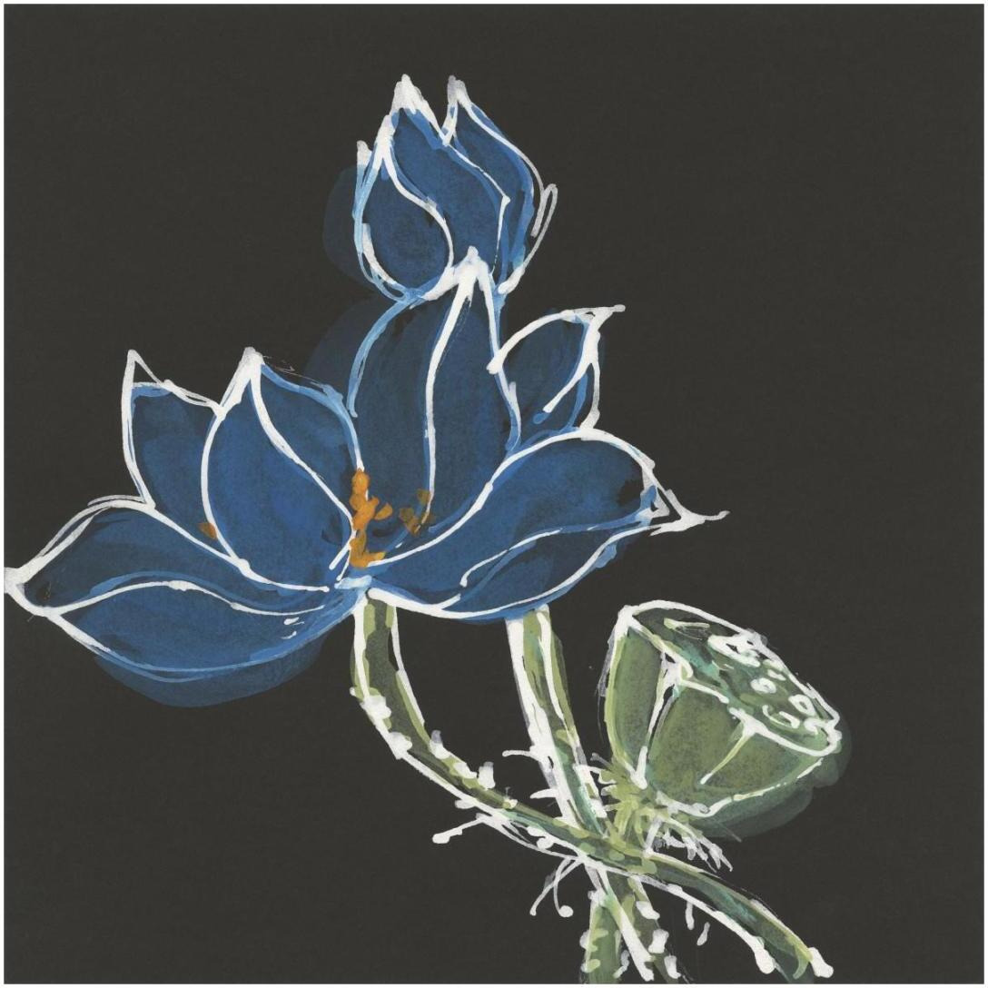 Lotus on Black VII -Paper Art-20&quotx20"