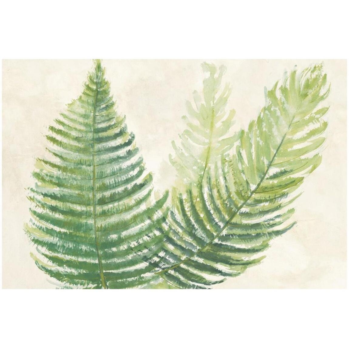 Ferns Square III v2 on Cream -Paper Art-20&quotx14"