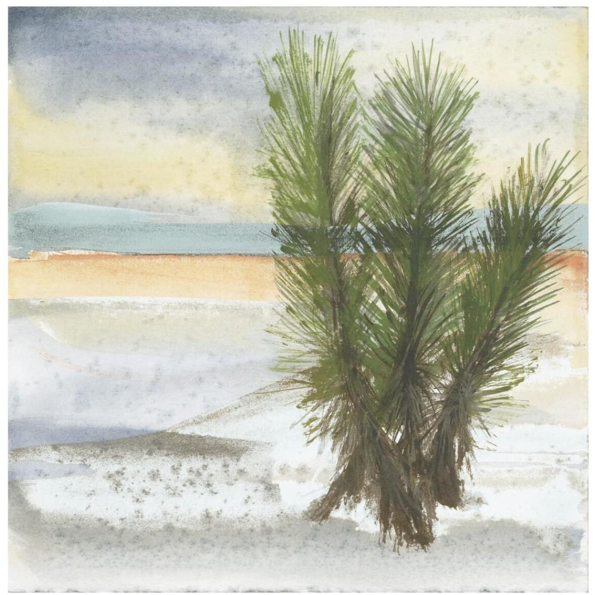 Desert Yucca Cool -Paper Art-42&quotx42"