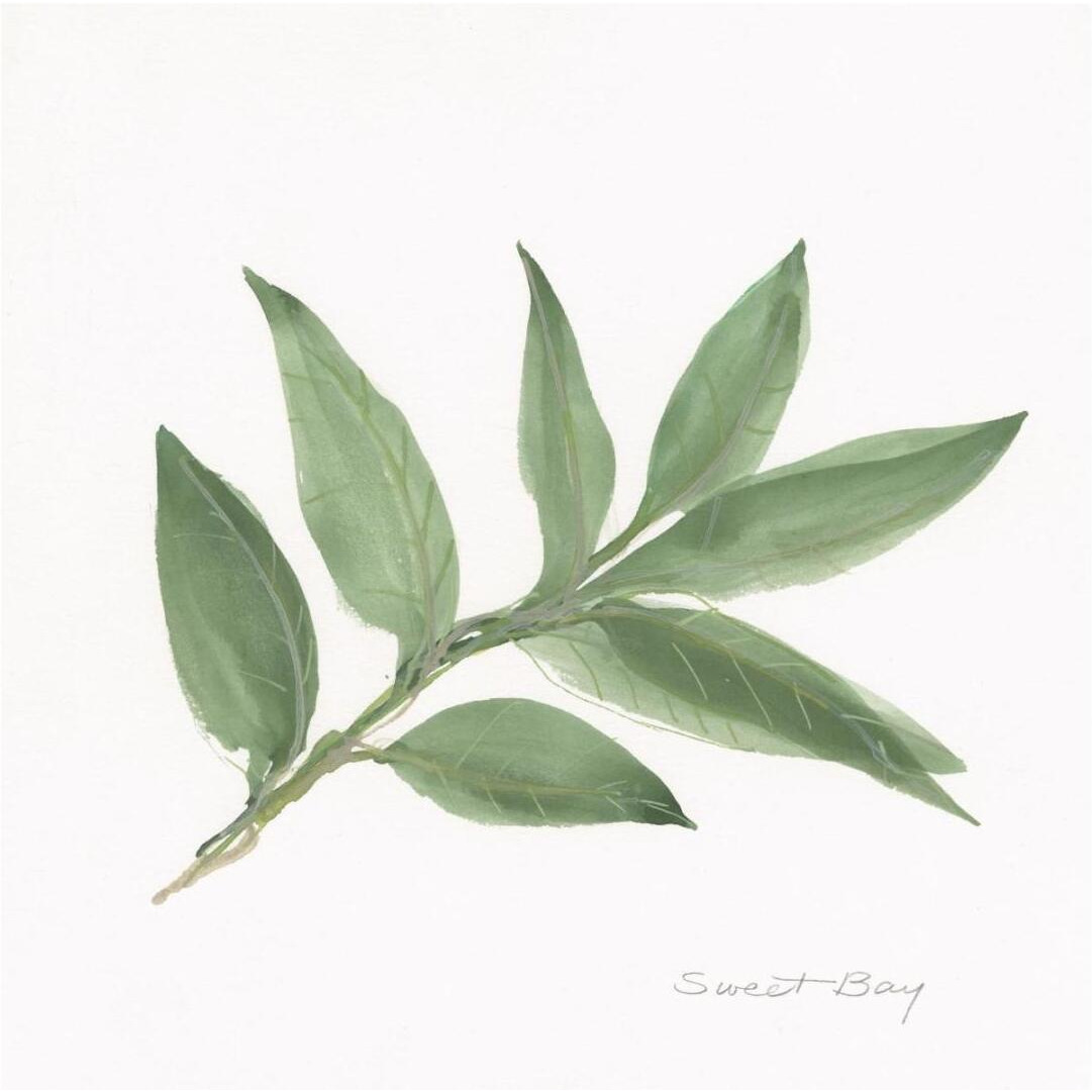 Sweet Bay -Paper Art-20&quotx20"