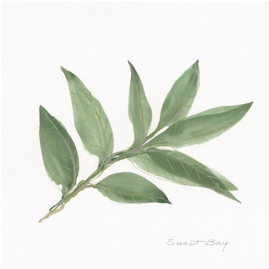 Sweet Bay -Paper Art-32&quotx32"
