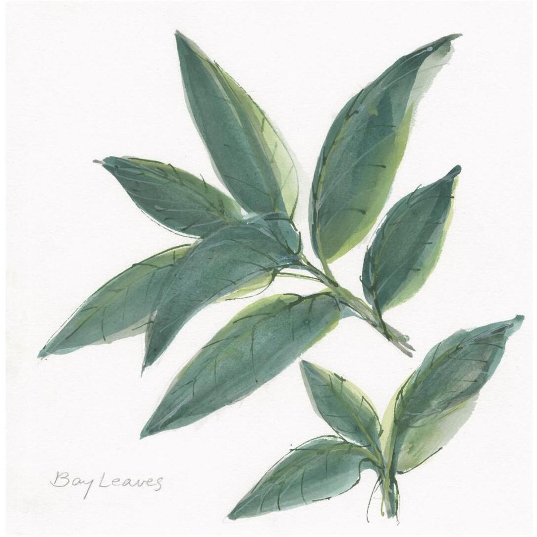 Bay Leaf -Paper Art-20&quotx20"
