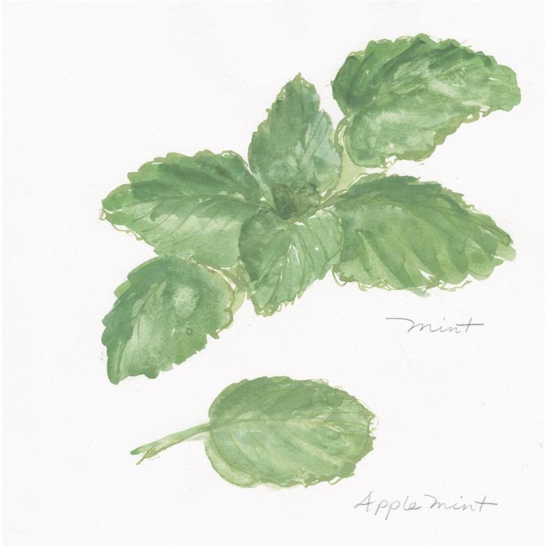 Mint -Paper Art-26&quotx26"