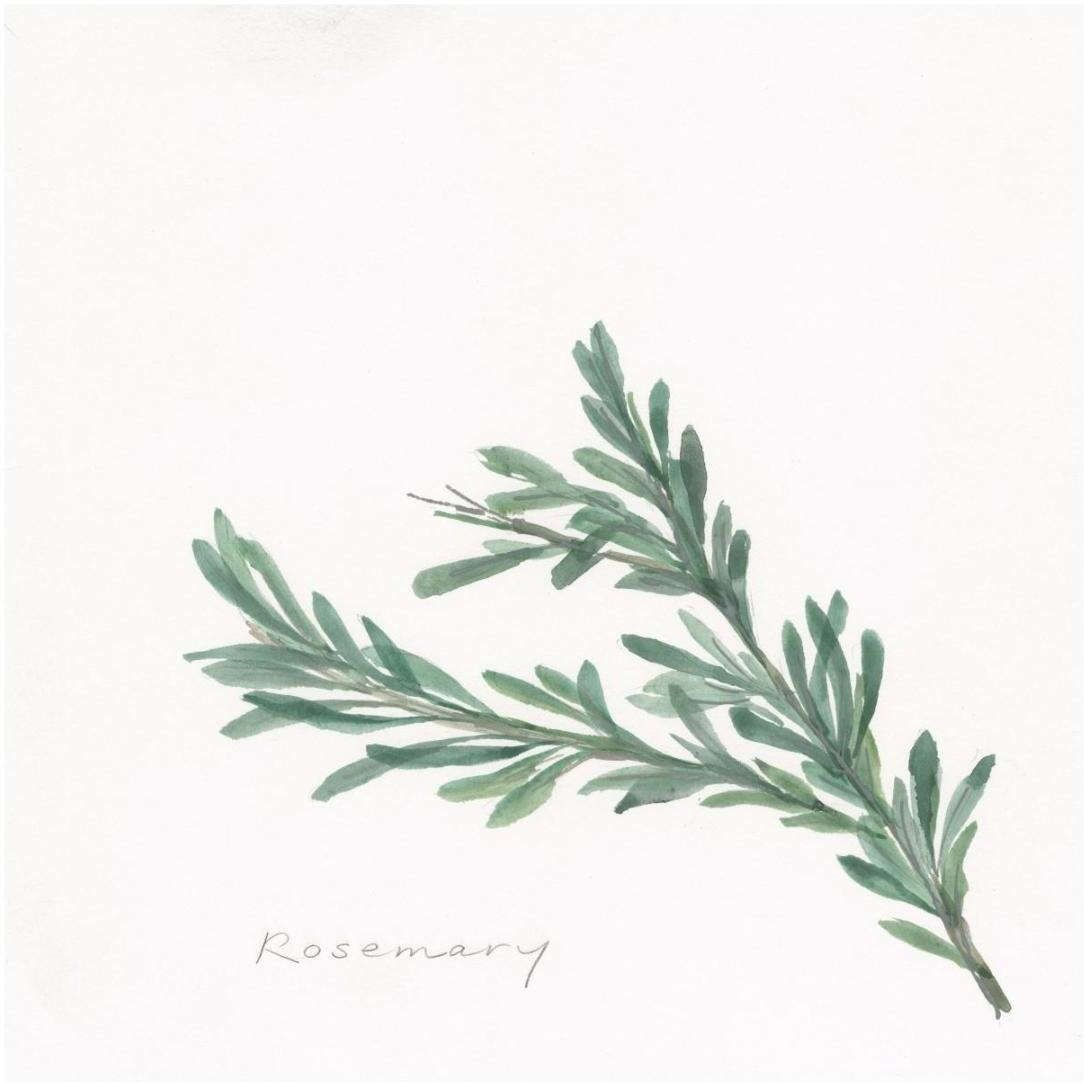 Rosemary -Paper Art-20&quotx20"
