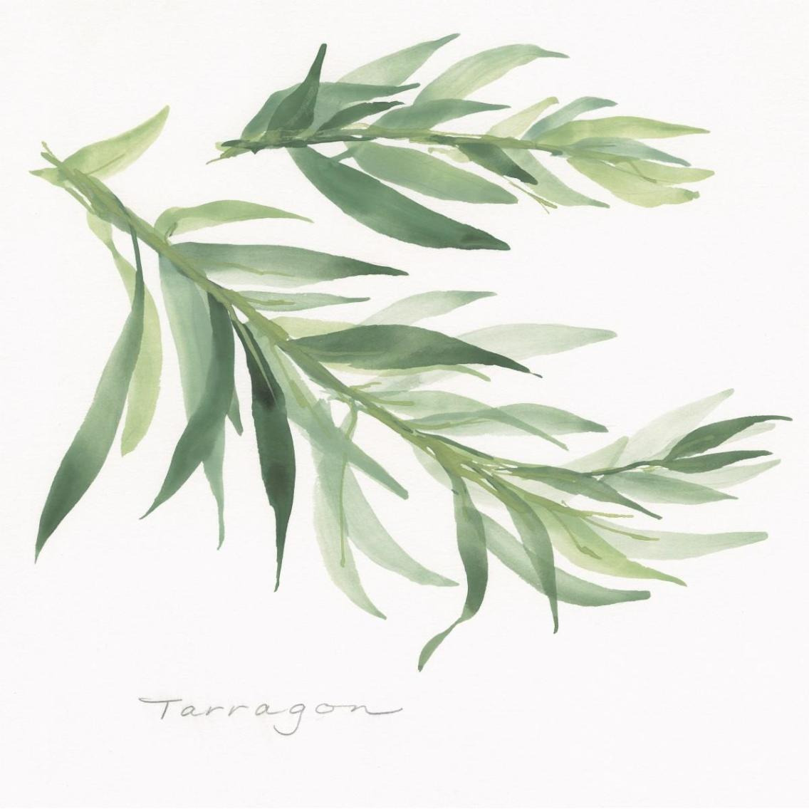 Tarragon -Paper Art-38&quotx38"