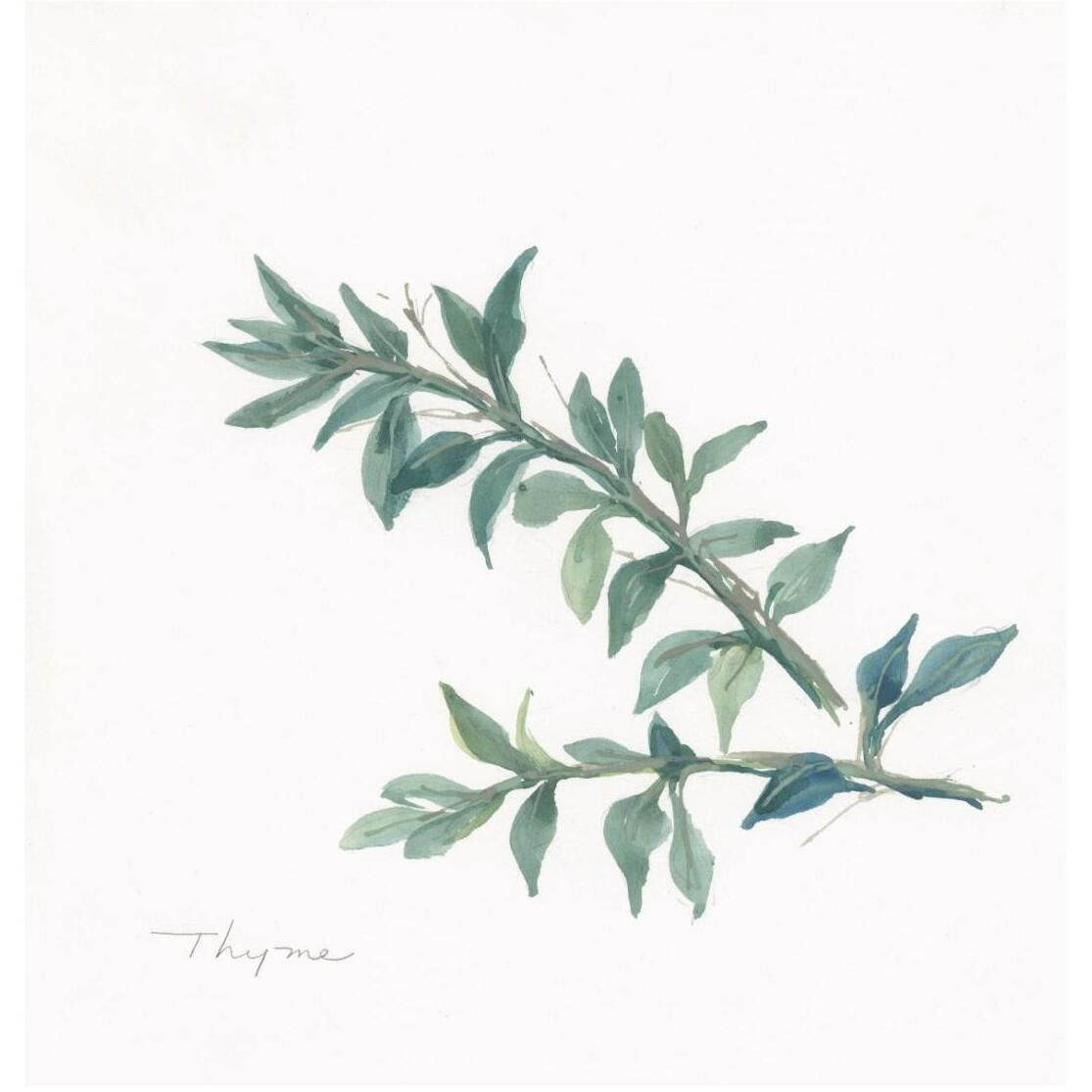 Thyme -Paper Art-26&quotx26"